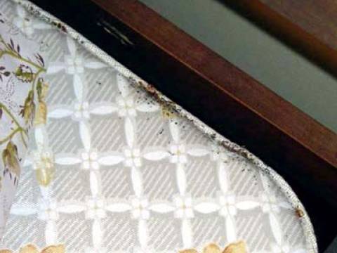 Pictures of Bed Bug Infestations: Bed Bugs and Bed Bugs Feces on Mattress Seam